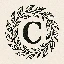 COINS图标